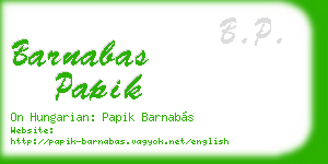 barnabas papik business card